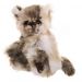 Kaycee Bears COLUMBUS Cat